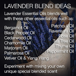 Lavender oil SVA organics great moisturizer for dry and chapped skin aromatherapy skincare hair care