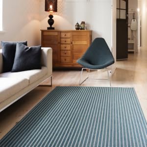 outdoor rug, 8x10 rug, 5x8 rug, blue area rug