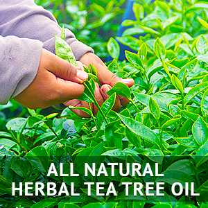 Vaginal Suppositories Tea Tree Oil Hygiene Personal Care Treatment pH Balance Yeast Infections