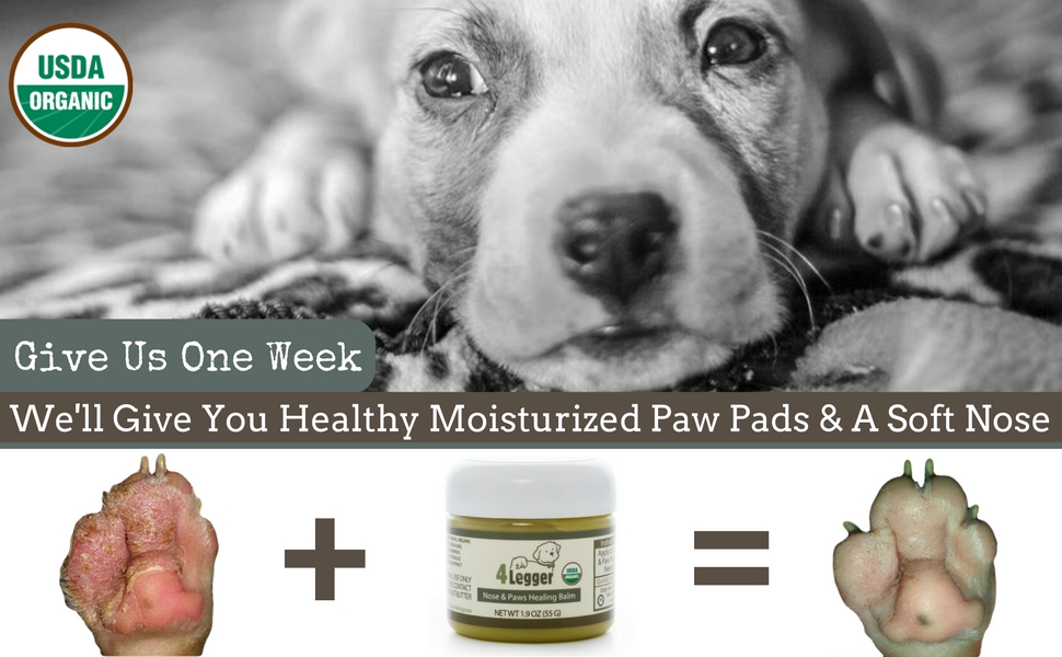 4Legger Certified Organic Nose and Paw Pad Healing Balm