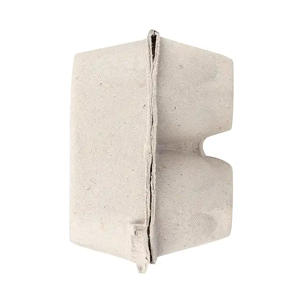 Jumbo Organic Eggs at Whole Foods Market