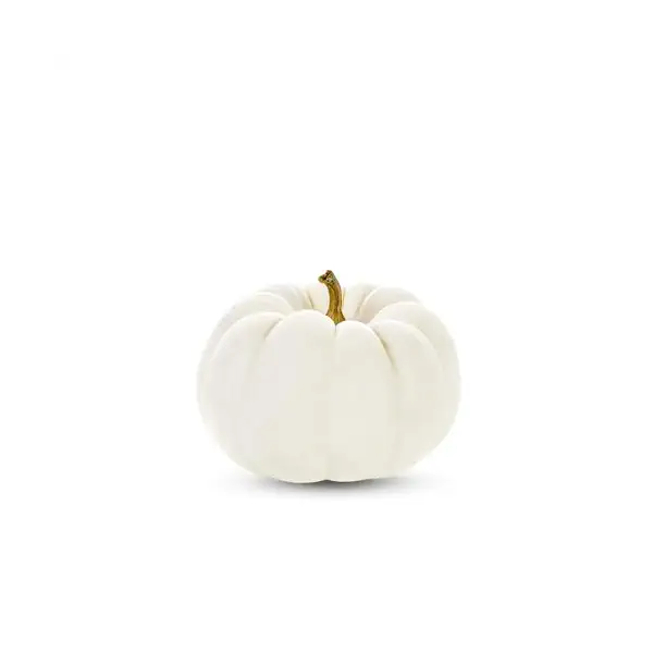 Baby White Pumpkin 1