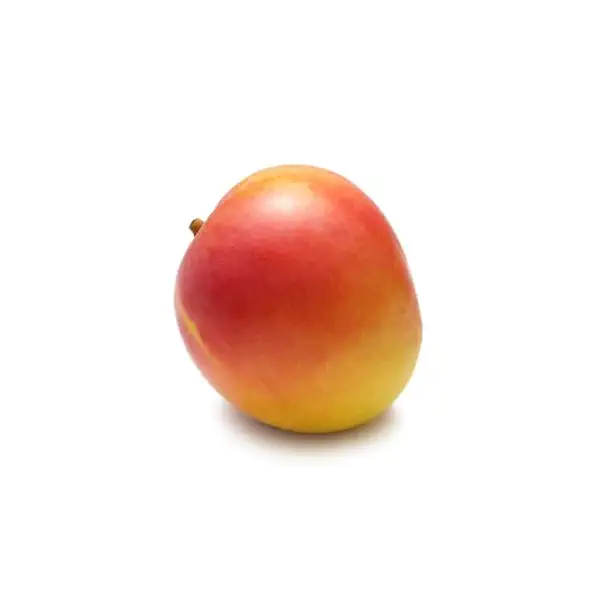 Calypso Mango 1