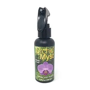 Myst Orchid, 1 EA