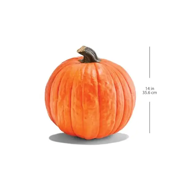 Large Carving Pumpkin 2