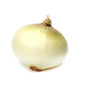 Organic Sweet Onion