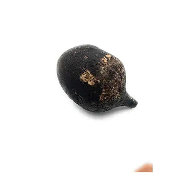 Black Radish 2