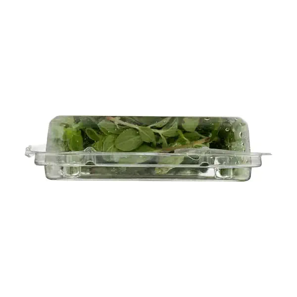 Organic Marjoram Herbs 4