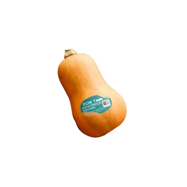 Organic Honeypatch Winter Squash 1