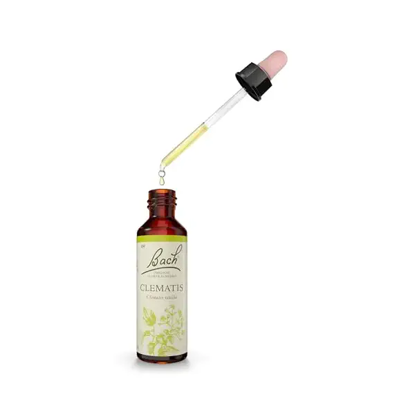 Clematis 2