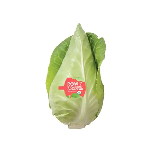 Organic Sugarcone Cabbage 1