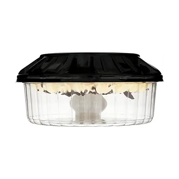 Chocolate Cream Pie 6 Inch 3