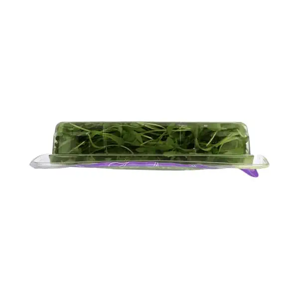 Herb Micro Cilantro 1.75Oz, 1.75 OZ 3