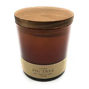 Fig Tree Soy Candle Amber Tumbler, 8 OZ