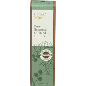 Cedar Mint Reed Diffuser, 1 FZ