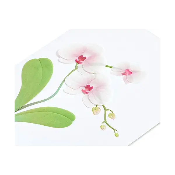 Thinking of You Card, 1 EA 5