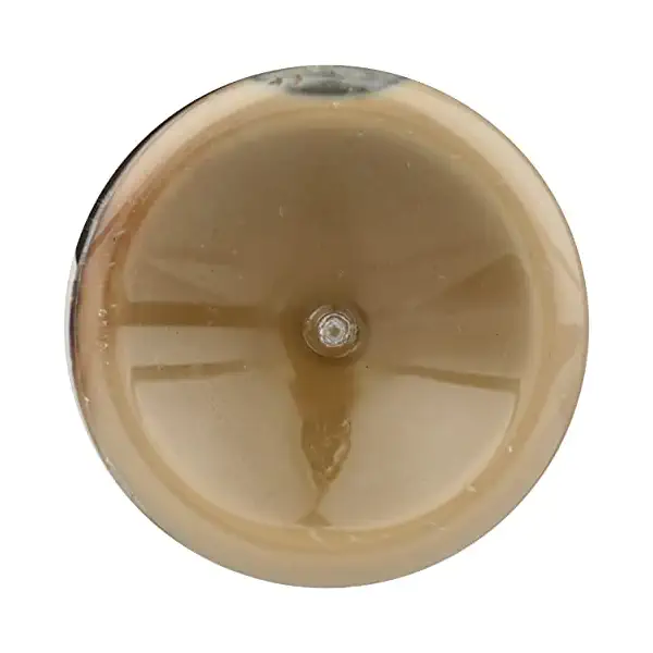 Organic Cookies and Cream Protein Drink, 12 FZ 5