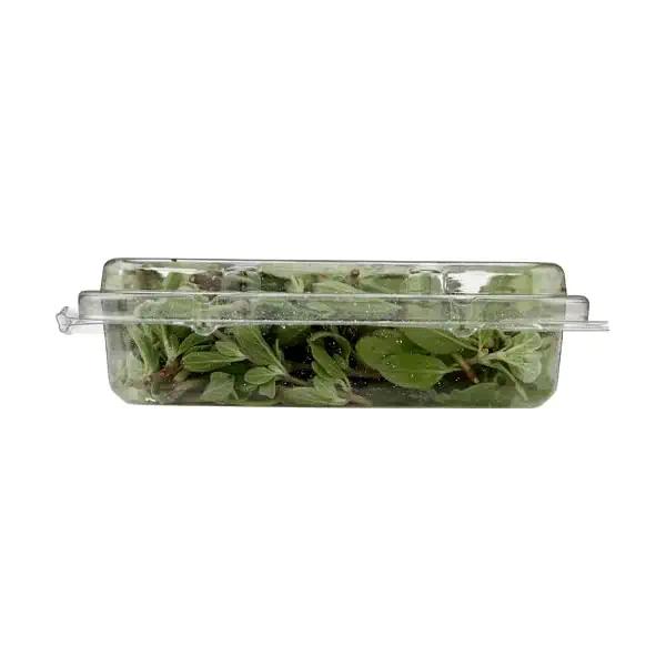 Organic Marjoram Herbs 7