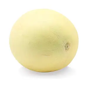 Honeydew Melon