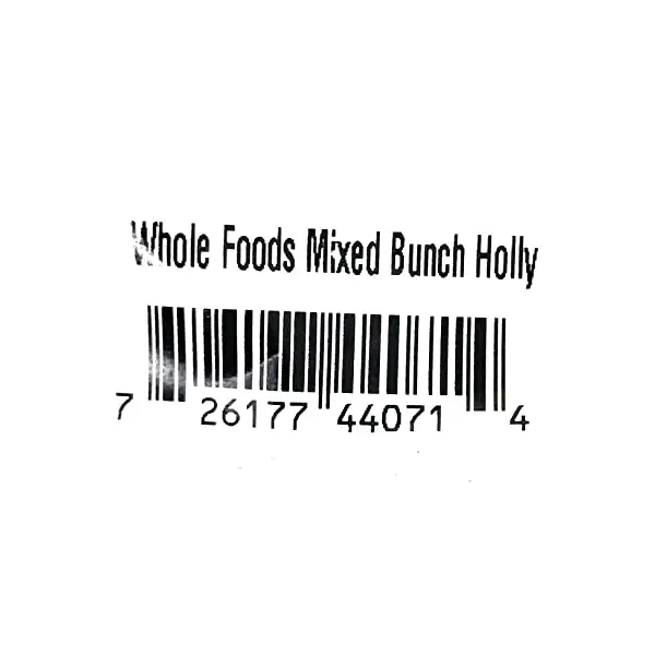 Variegated Holly Bunch, 1 EA 2