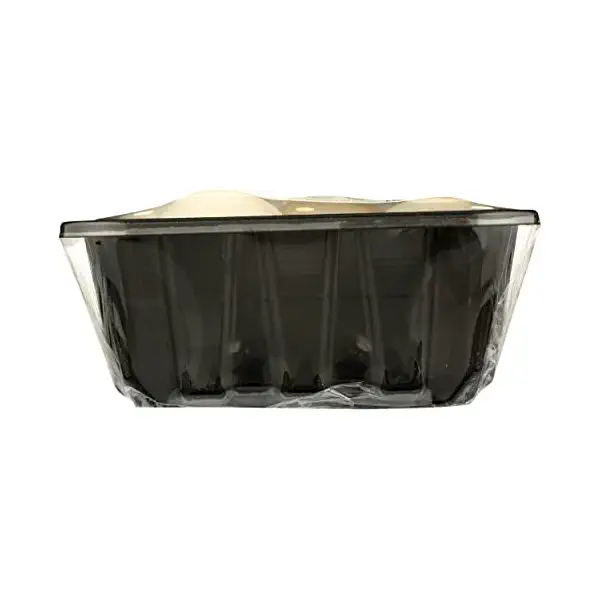 Organic White Mushrooms 8oz 7