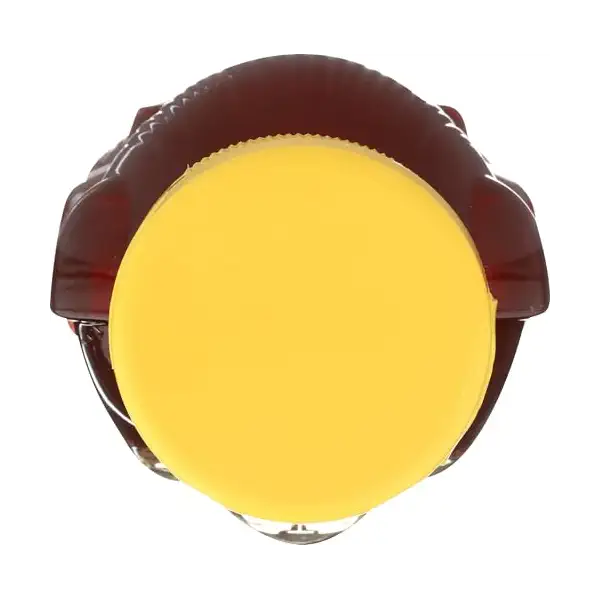 Sweet Squeeze Orange Blossom Honey 4