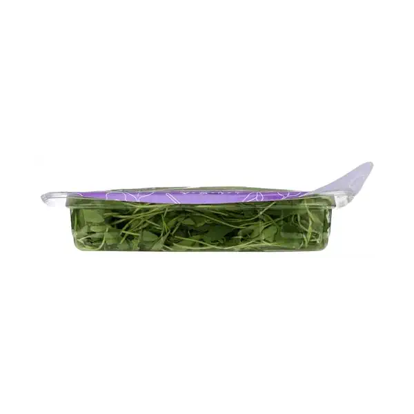 Herb Micro Cilantro 1.75Oz, 1.75 OZ 6