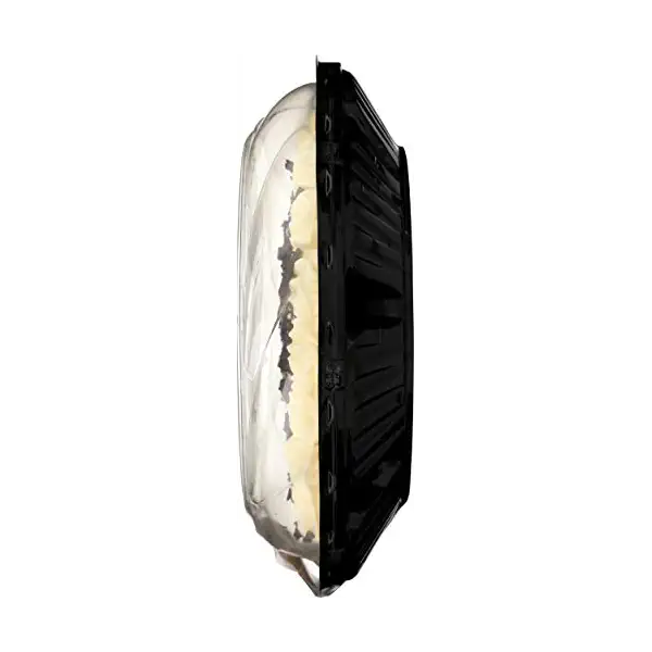 8" Chocolate Cream 4