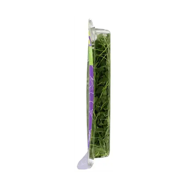 Herb Micro Cilantro 1.75Oz, 1.75 OZ 5