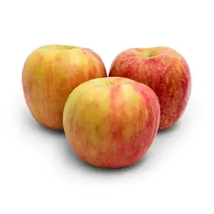 Organic Honeycrisp Apple Bag