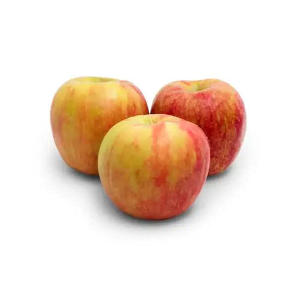 Organic Honeycrisp Apple Bag 1