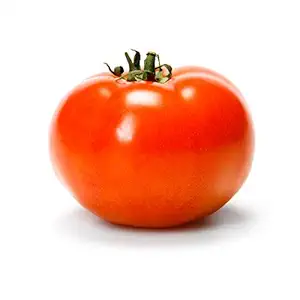 Organic Slicer Tomato