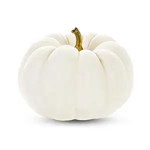 Baby White Pumpkin