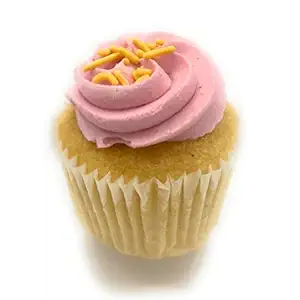 Vegan Lemon Raspberry Cupcake
