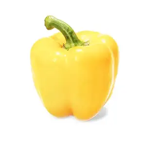 Yellow Bell Pepper