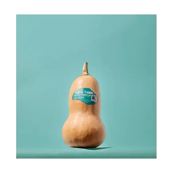 Organic Honeypatch Winter Squash 2