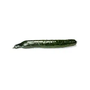 English Cucumbers