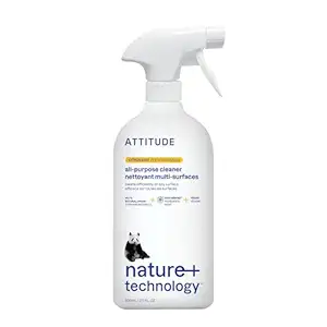 Citrus Zest All Purpose Disinfectant Spray, 800 ML