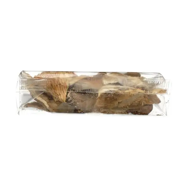 Organic Oyster Mushrooms 6