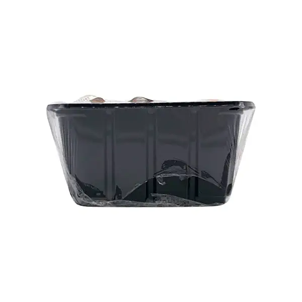 Baby Bella Mushrooms 3