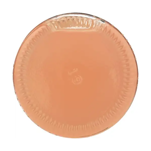 Raspberry Mint Soda Single 8