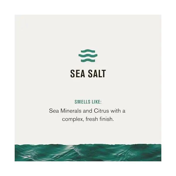 Sea Salt 2 in 1 Shampoo and Body Bar, 5 OZ 3