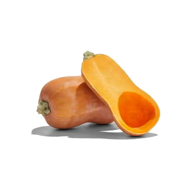 Organic Honeynut Squash 1