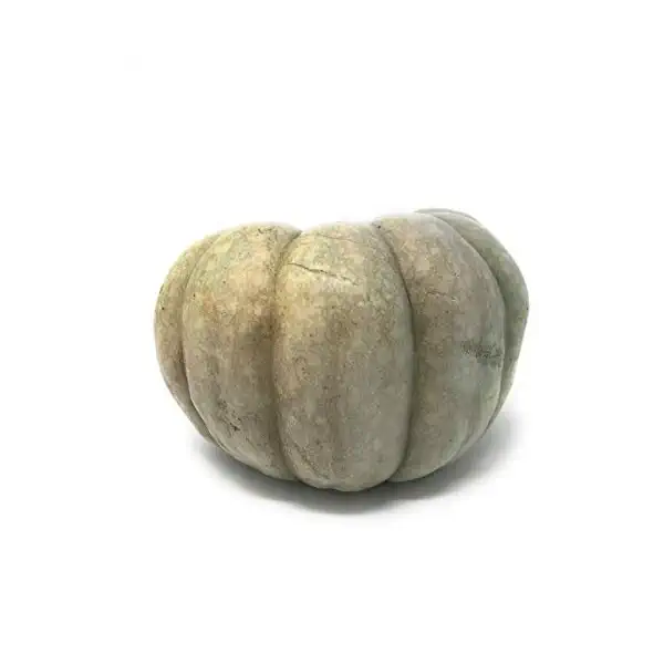 Blue Pumpkin 1