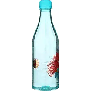 Artisian Spring Water, 16.9 FZ