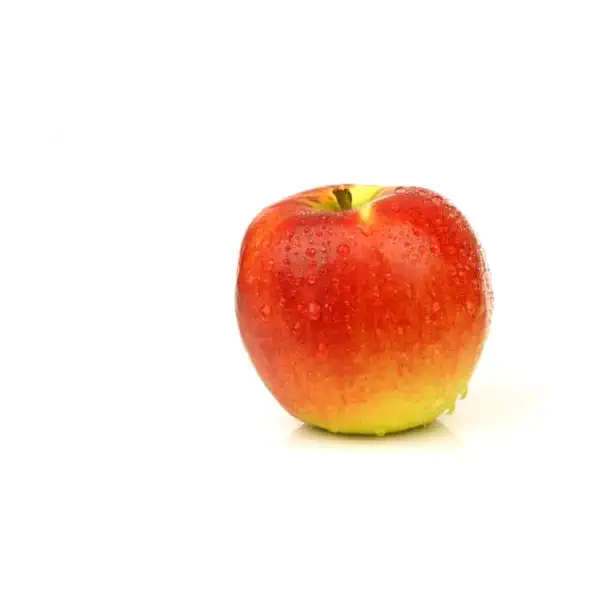 Organic Evercrisp Apple 1