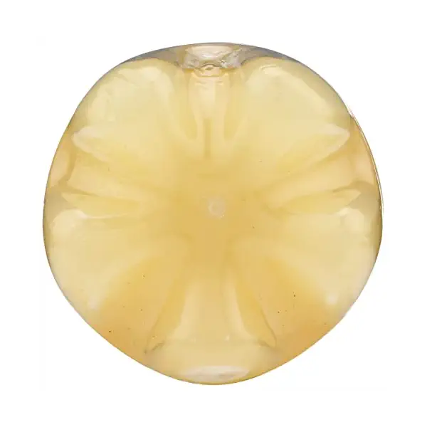 Organic Ginger Citrus Cold-Pressed Sparkling Juice, 12 FZ 8