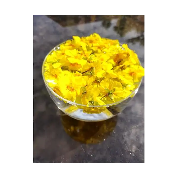 Rock Rose 5