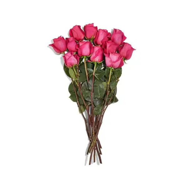 Dozen Roses 40cm, 1 EA 1