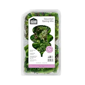 Gourmet Spring Mix Salad, 9 OZ